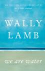 Wally Lamb - We Are Water
