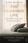 Stephen Grosz, The Examined Life: How We Lose and Find Ourselves 