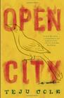 Open City, Teju Cole