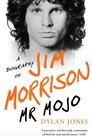 Dylan  Jones Mr Mojo: A Biography of Jim Morrison 
