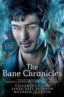 Cassandra Clare Bane Chronicles (stories)