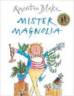 Mr Magnolia has only one boot by Quentin Blake